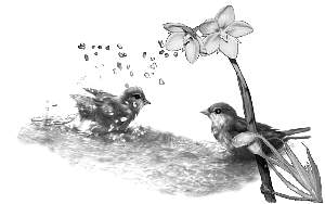 birdbath.jpg