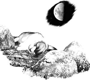 rabbitmoon.jpg
