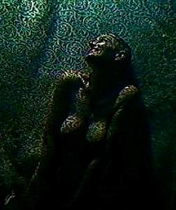 05greenlace1.jpg