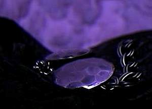 purplenecklace.jpg